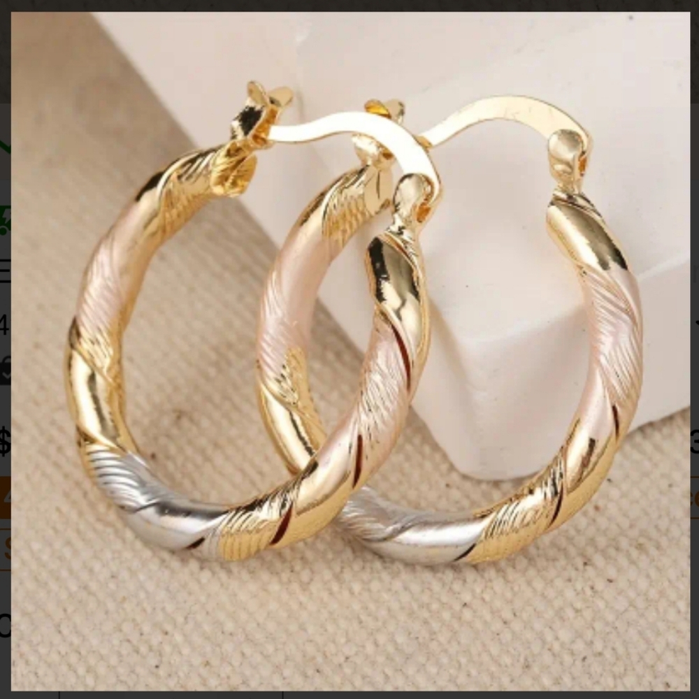 Elegant Gold and Silver Twisted Hoop Earrings